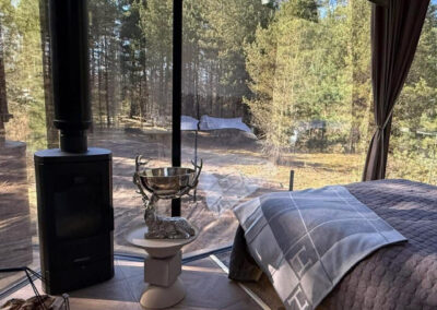 Villa kahele lummavas männimetsas