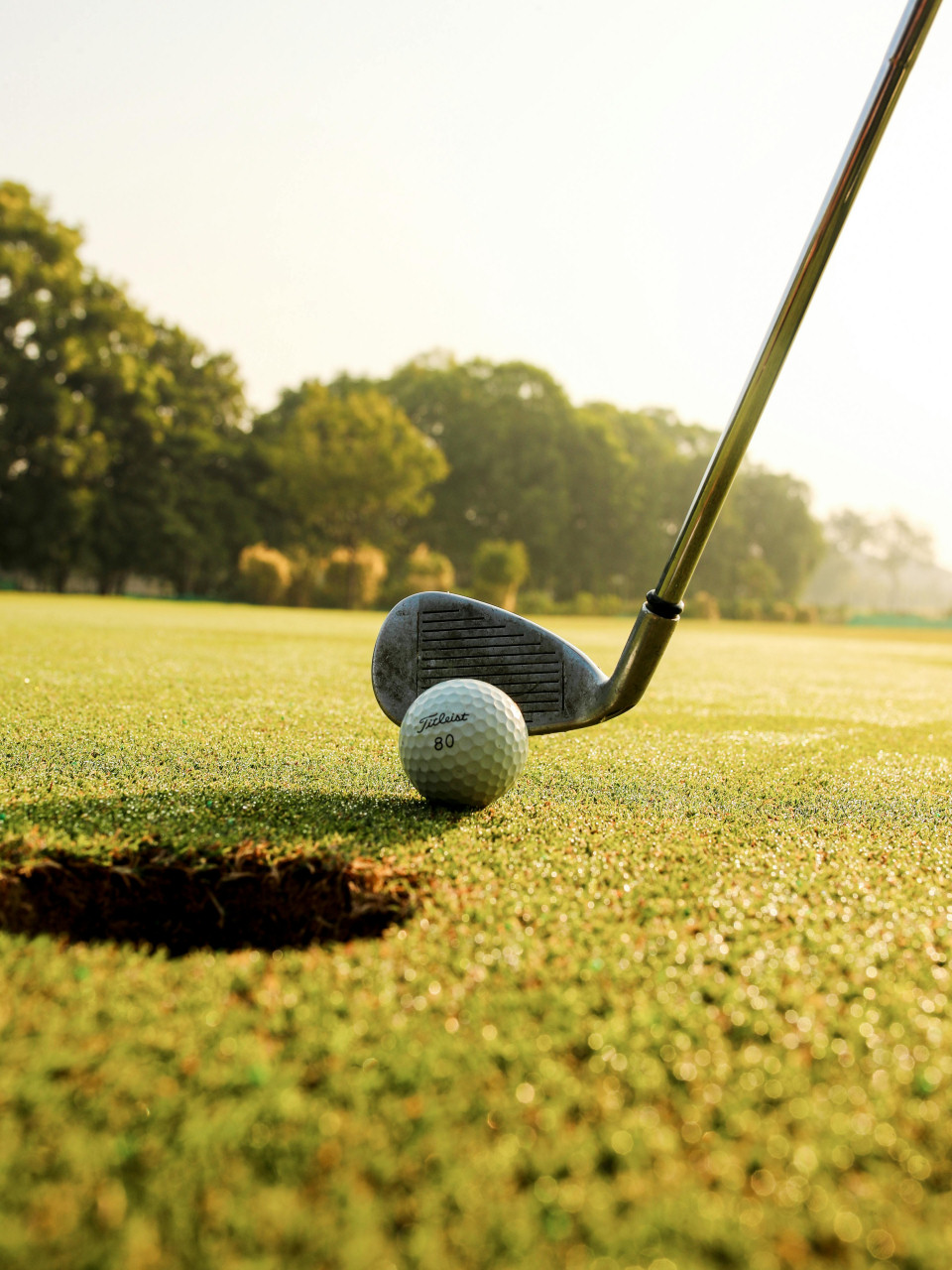 White Beach Golf